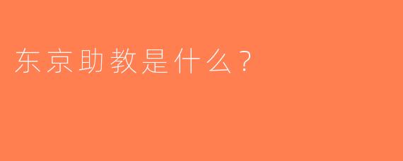 东京助教是什么？