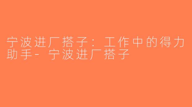 宁波进厂搭子：工作中的得力助手-宁波进厂搭子