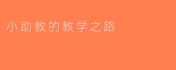 小助教的教学之路
