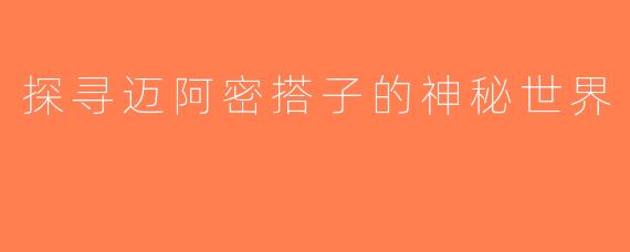探寻迈阿密搭子的神秘世界