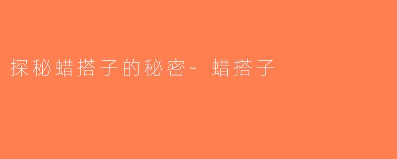 探秘蜡搭子的秘密-蜡搭子