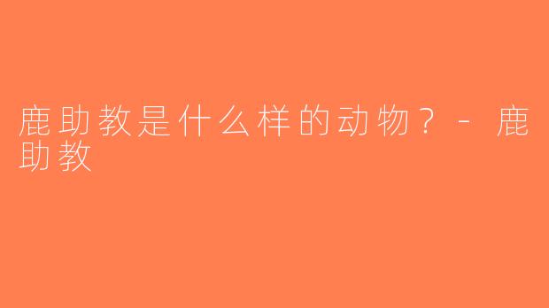 鹿助教是什么样的动物？-鹿助教