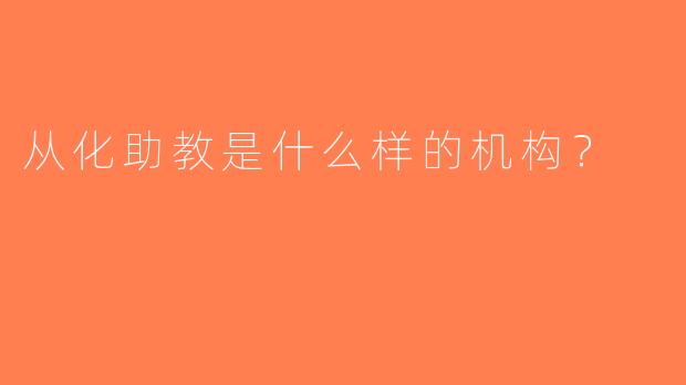 从化助教是什么样的机构？