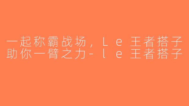 一起称霸战场，Le王者搭子助你一臂之力-le王者搭子