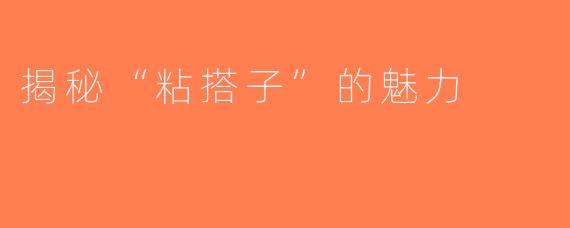 揭秘“粘搭子”的魅力