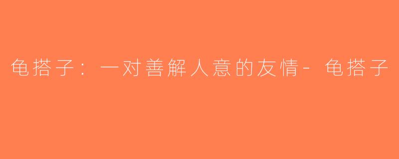 龟搭子：一对善解人意的友情-龟搭子
