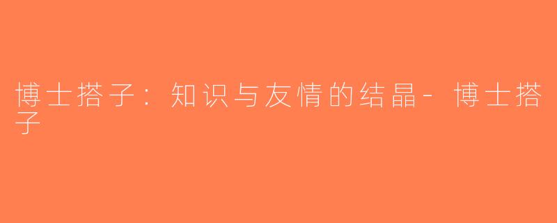 博士搭子：知识与友情的结晶-博士搭子