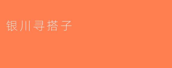 银川寻搭子