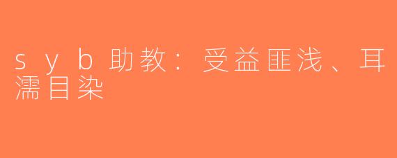 syb助教：受益匪浅、耳濡目染
