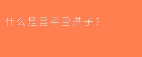什么是昌平雪搭子？