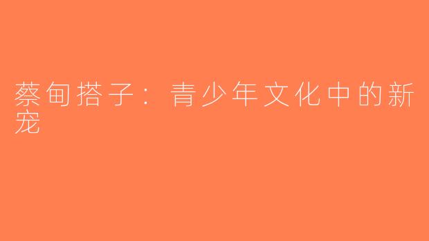 蔡甸搭子：青少年文化中的新宠