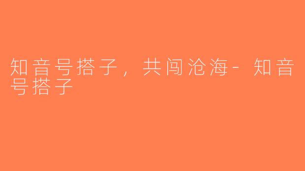 知音号搭子，共闯沧海-知音号搭子