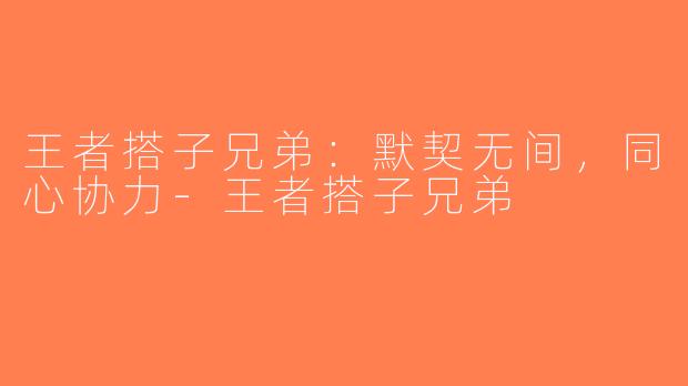 王者搭子兄弟：默契无间，同心协力-王者搭子兄弟
