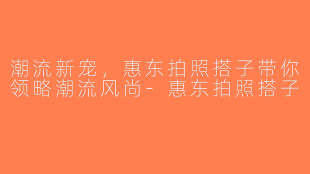 潮流新宠，惠东拍照搭子带你领略潮流风尚-惠东拍照搭子