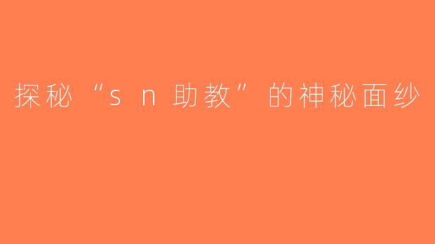 探秘“sn助教”的神秘面纱