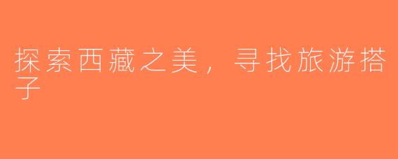 探索西藏之美，寻找旅游搭子