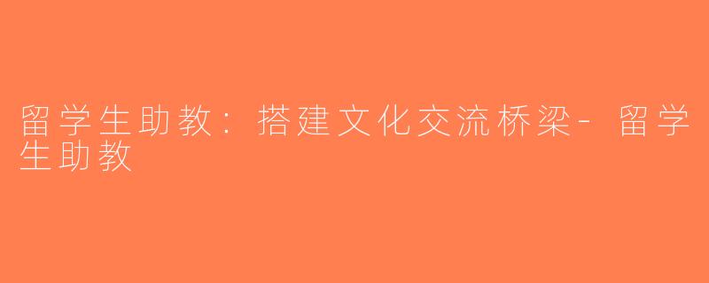 留学生助教：搭建文化交流桥梁-留学生助教