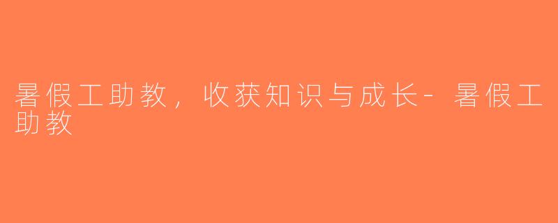 暑假工助教，收获知识与成长-暑假工助教