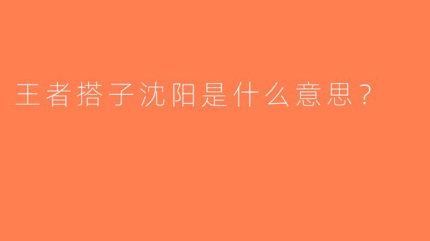 王者搭子沈阳是什么意思？