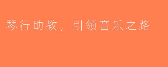 琴行助教，引领音乐之路