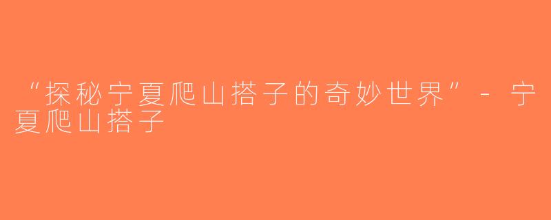 “探秘宁夏爬山搭子的奇妙世界”-宁夏爬山搭子