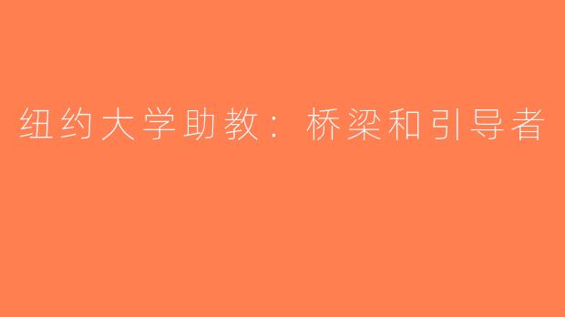 纽约大学助教：桥梁和引导者
