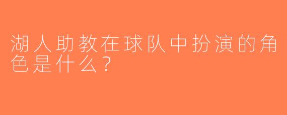 湖人助教在球队中扮演的角色是什么？