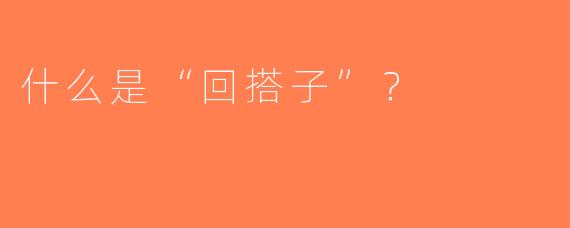 什么是“回搭子”？