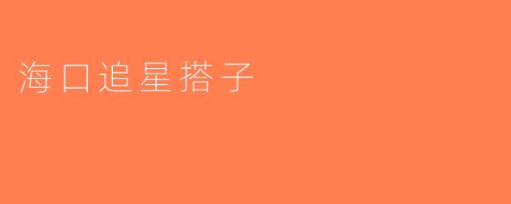海口追星搭子