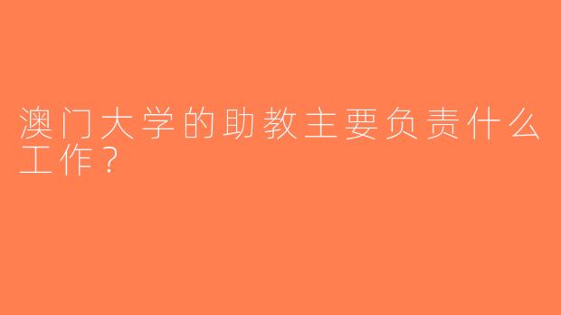 澳门大学的助教主要负责什么工作？