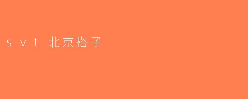 svt北京搭子