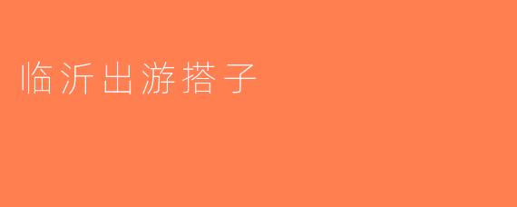 临沂出游搭子