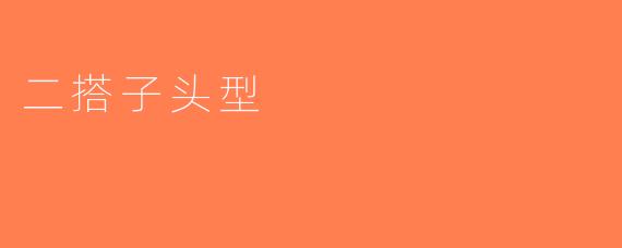二搭子头型