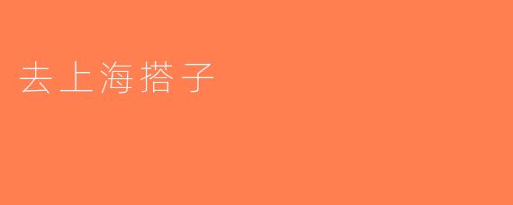 去上海搭子