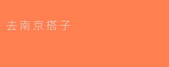 去南京搭子