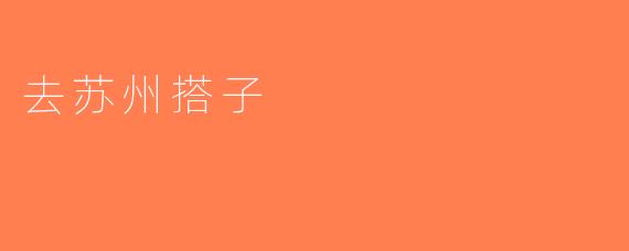 去苏州搭子