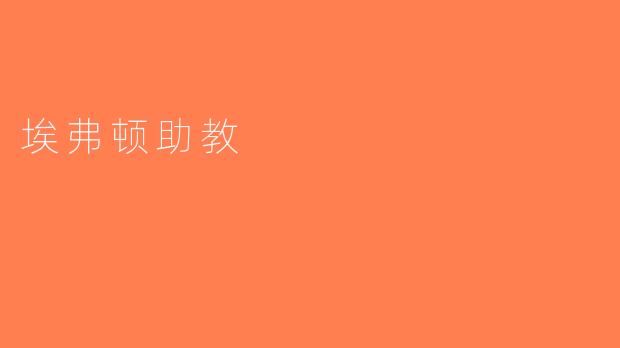 埃弗顿助教