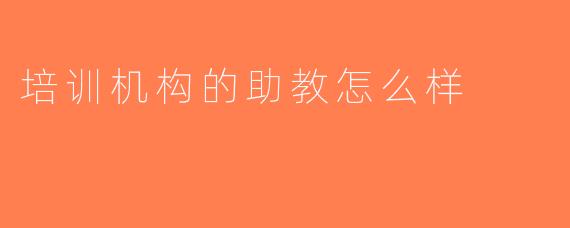 培训机构的助教怎么样