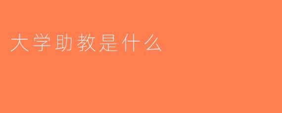 大学助教是什么
