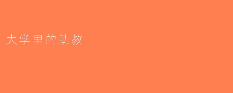 大学里的助教