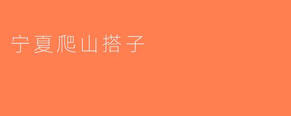 宁夏爬山搭子