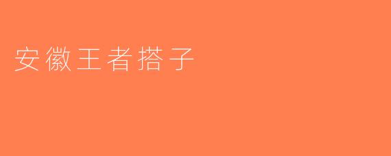 安徽王者搭子