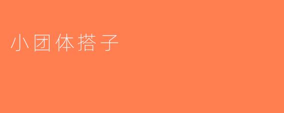 小团体搭子