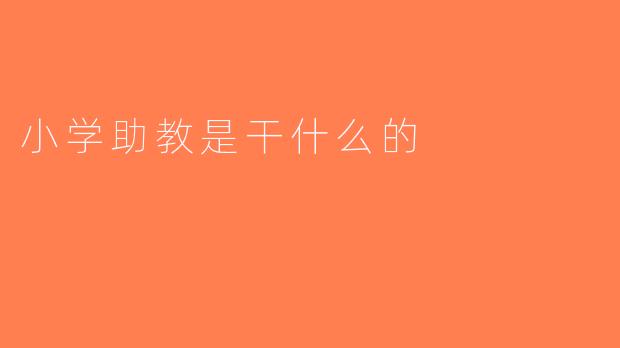 小学助教是干什么的