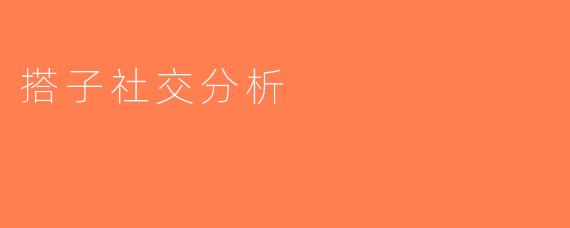 搭子社交分析