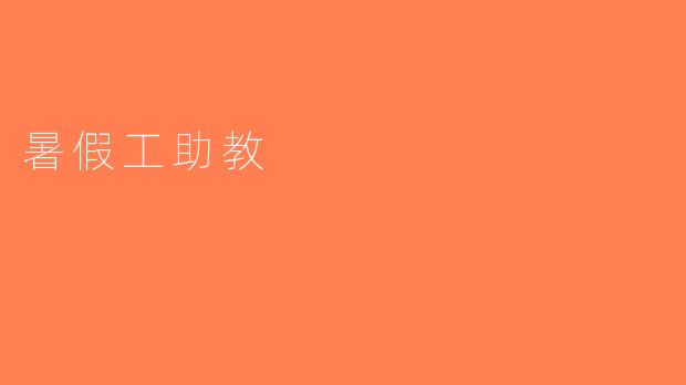 暑假工助教