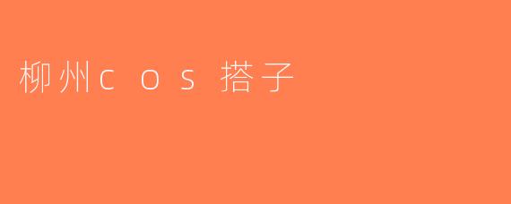 柳州cos搭子
