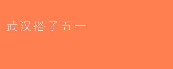 武汉搭子五一