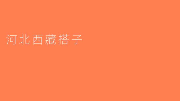 河北西藏搭子