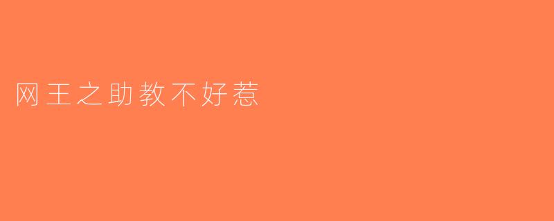 网王之助教不好惹